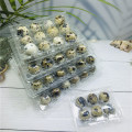 wholesale blister plastic 6/12/20/18/24/30holes quail egg tray cartons